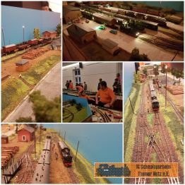 Unsere H0e vom Wilischthal