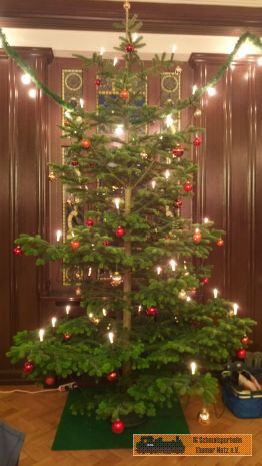 Unser eigener Weihnachtsbaum!