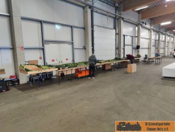 Der Aufbau beginnt.